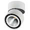 Светильник Lightstar 214850