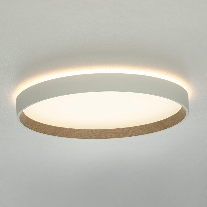 Светильник Citilux CL750320R