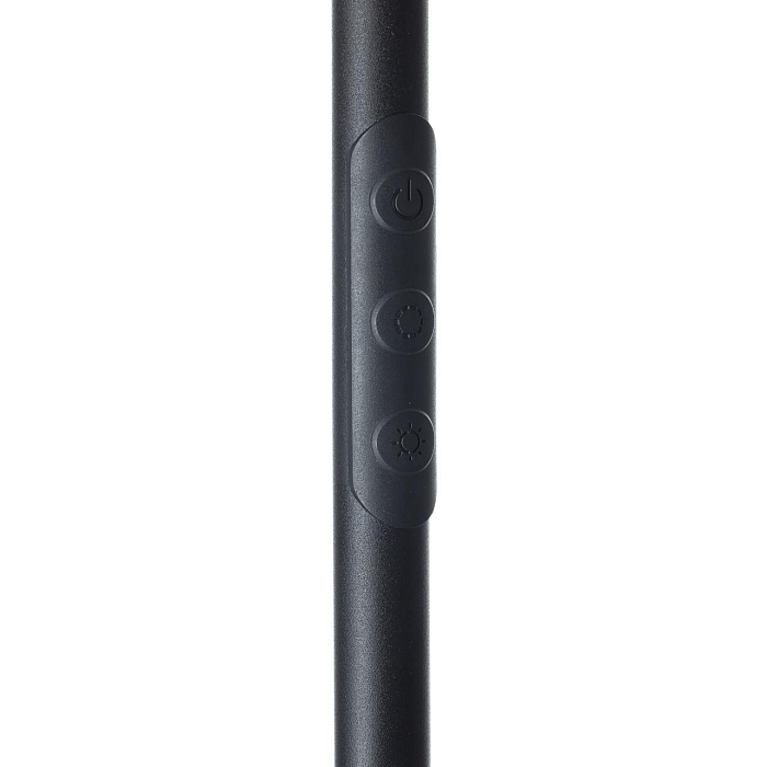 Торшер Citilux CL804061