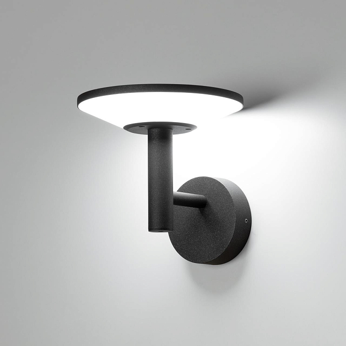 Уличный светильник Citilux CLU05W