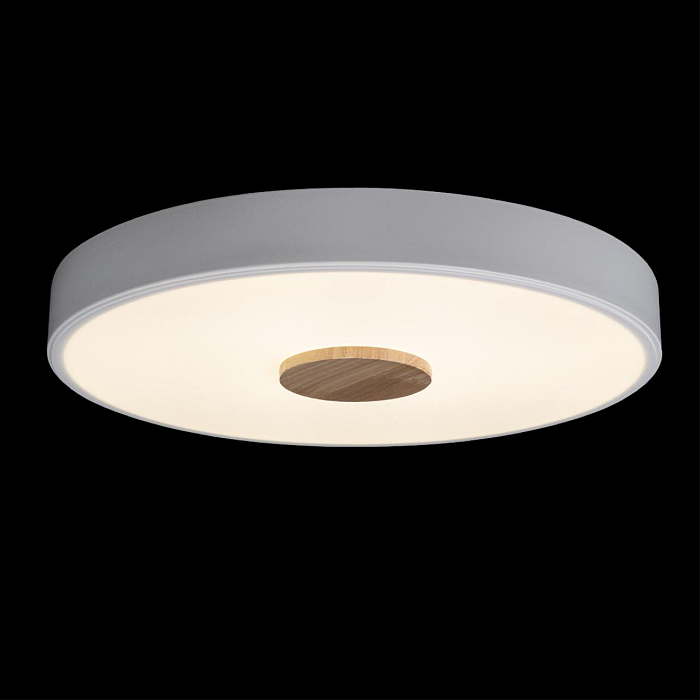 Светильник LOFT IT 10003/24 White