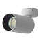 Светильник Citilux CL512210R