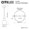 Светильник Citilux CL249011