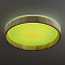 Светильник Citilux CL753352G