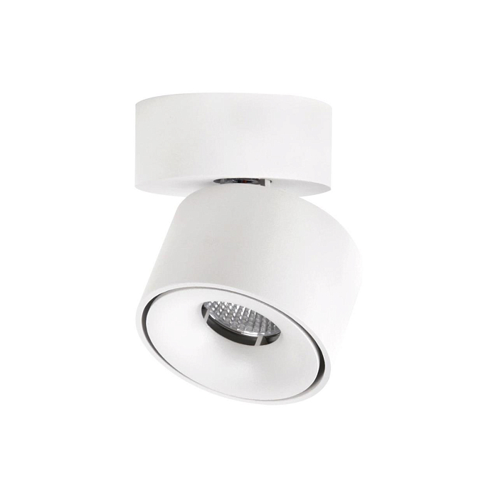 Светильник Citilux CL558010N