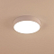 Светильник Citilux CL72424V0
