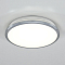 Светильник Citilux CL702161N