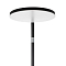 Торшер Citilux CL804061