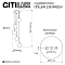 Светильник Citilux CL102051