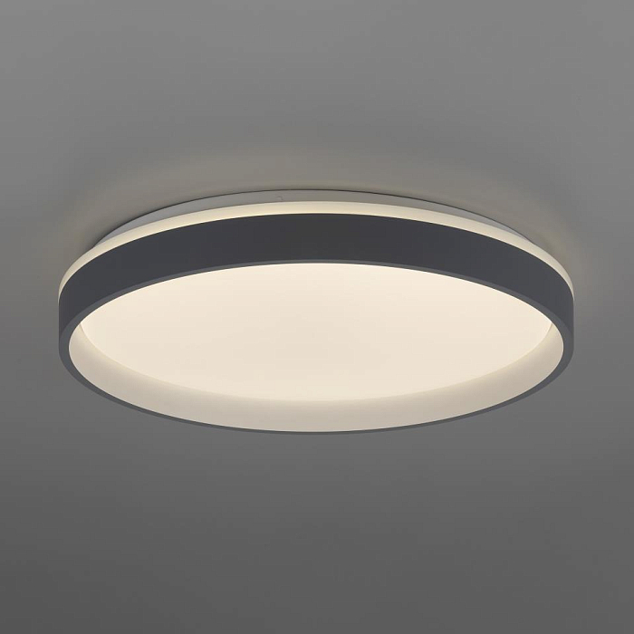 Светильник Citilux CL753453G