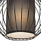 Светильник LOFT IT LOFT8906/D