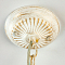 Люстра Citilux CL413250